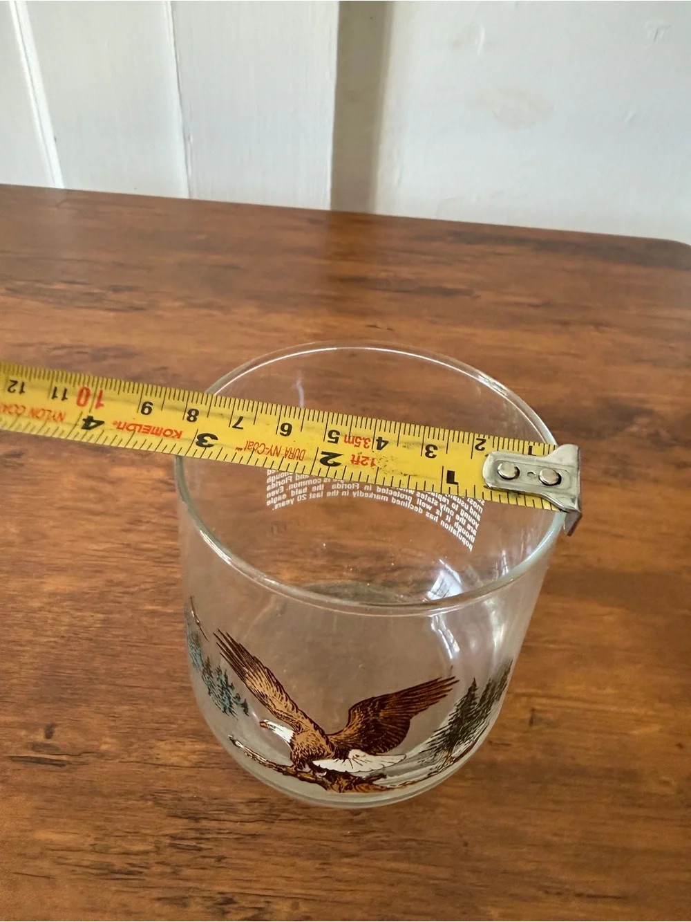 Eagle Glass Tumbler with Forest Scene